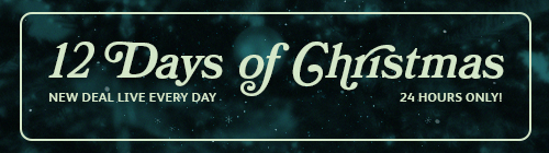 12 Days of Christmas 