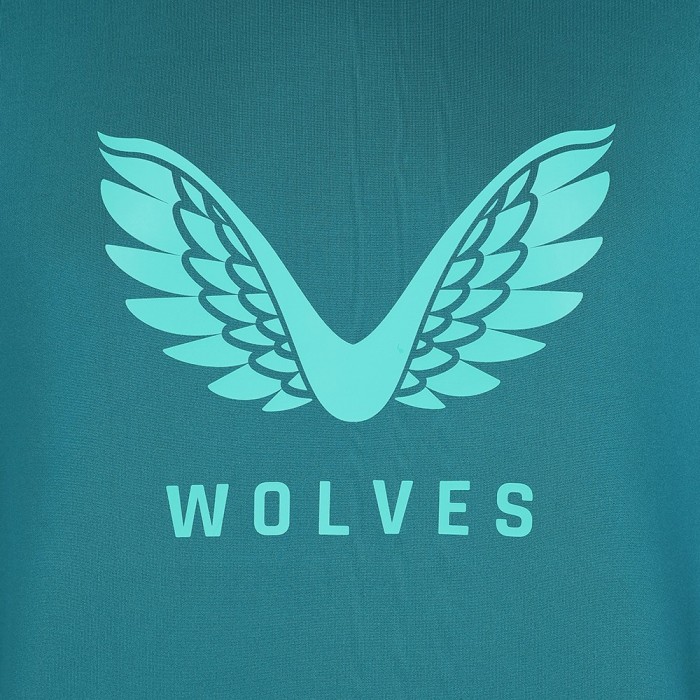 2023-24 Travel Logo Hoodie - Chesapeake Bay