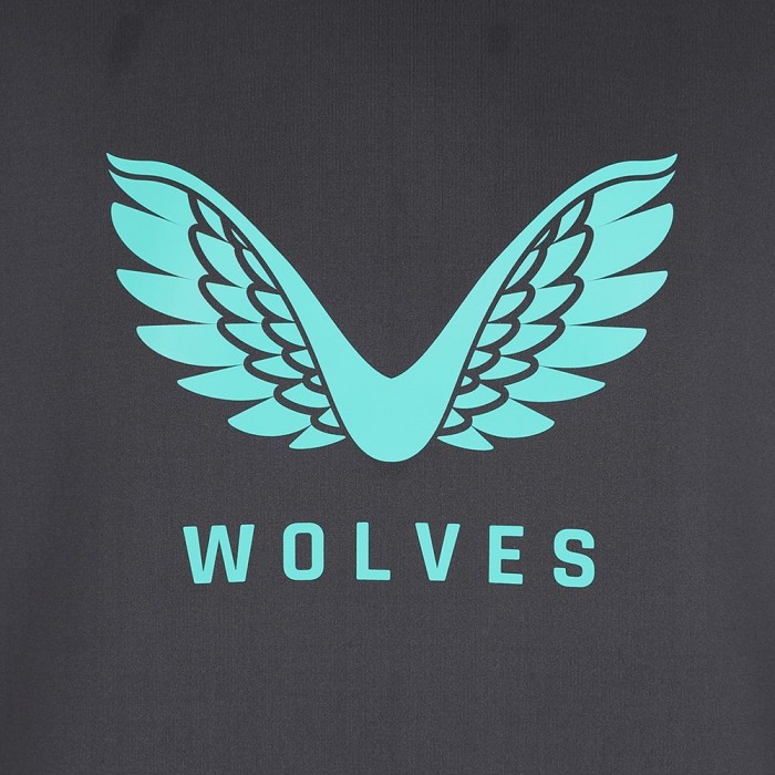 2023-24 Travel Logo Hoodie - Ebony