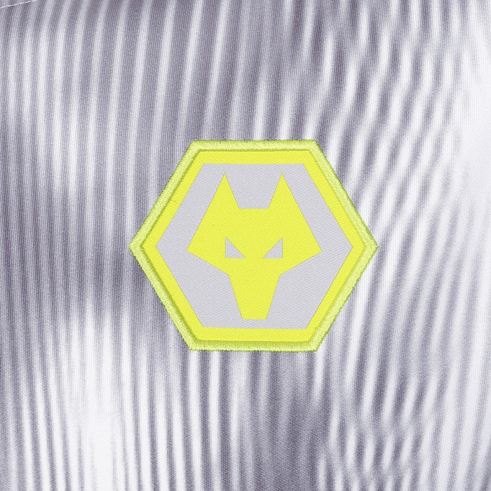 2024-25 Players Training LS T-Shirt - Grey