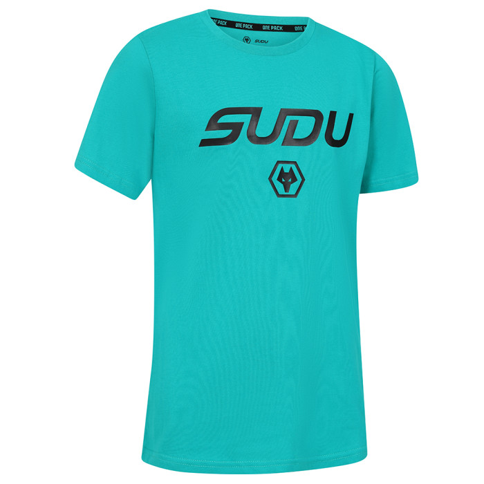 2024-25 Players Travel Logo T-Shirt -Green- Junior