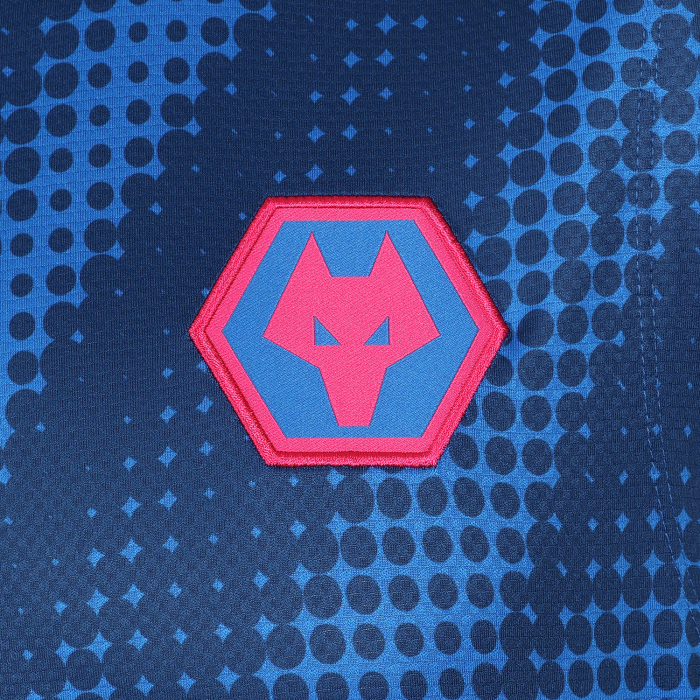 2025-26 Players Training Vest - Blue
