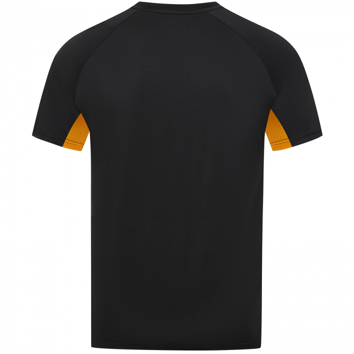 2025-26 Coaches Training T-Shirt - Black/Gold