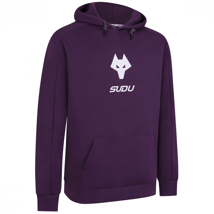 2025-26 Coaches Travel Hoodie - Purple