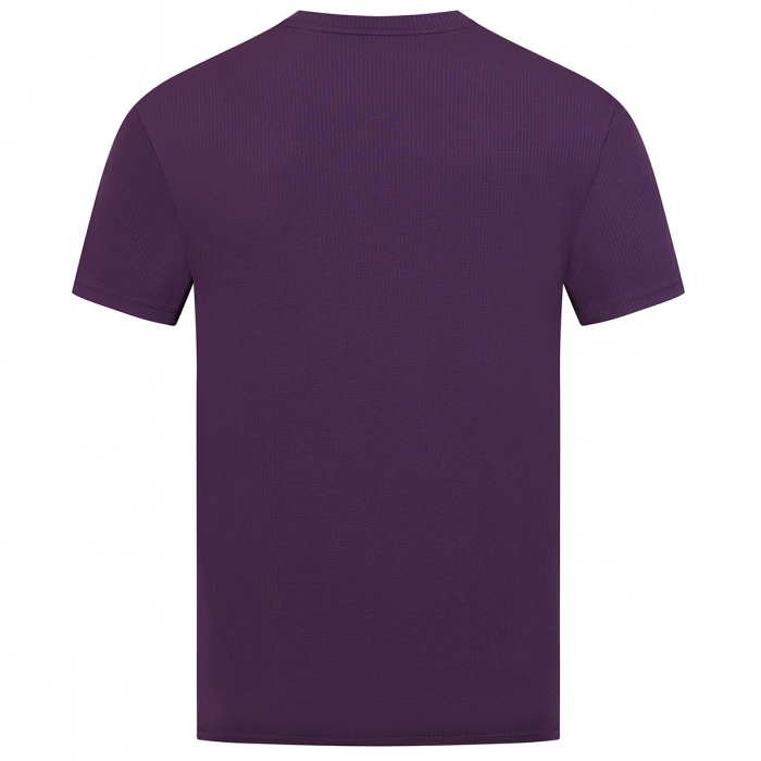 2025-26 Coaches Travel T-Shirt - Purple