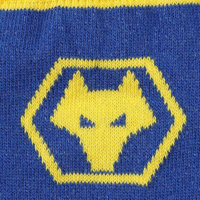 25/26 Third Kit Sock