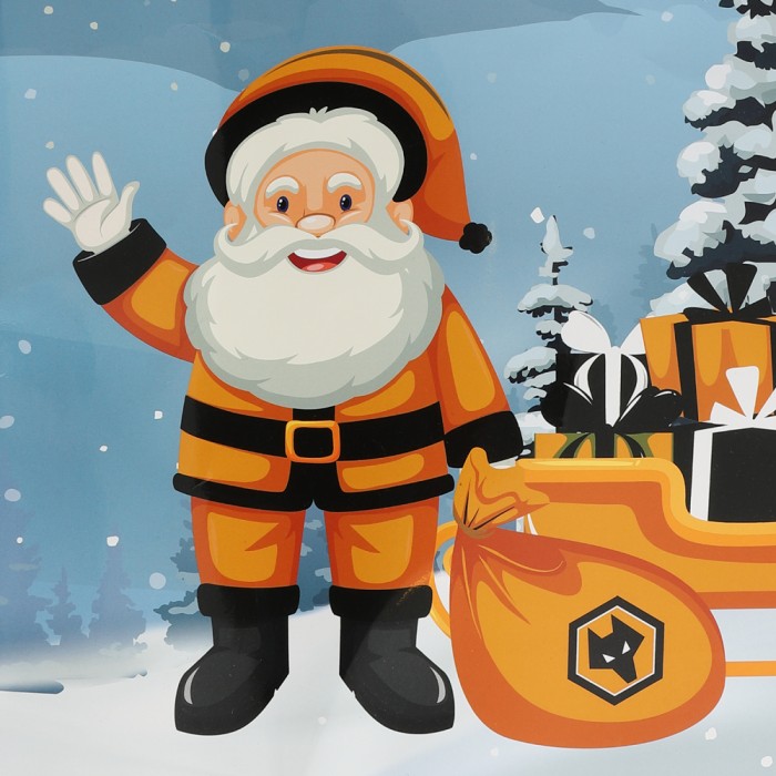 Jolly Santa Gift Bag