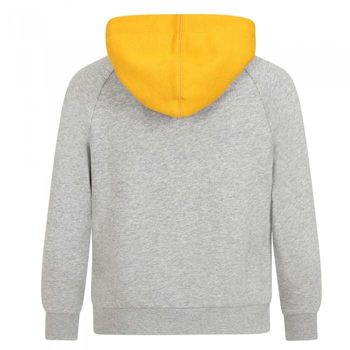Essentials Large Crest Hoodie - Grey - Kids