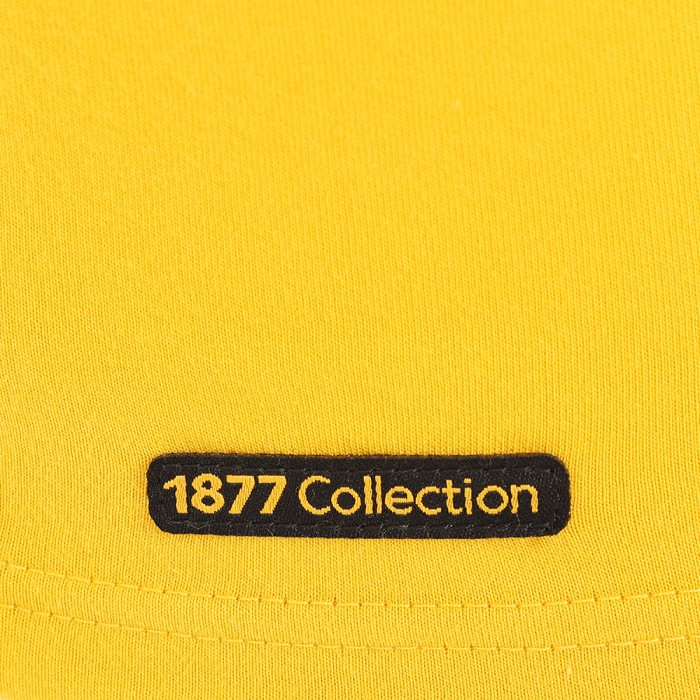 1877 Raglan T-Shirt - Gold