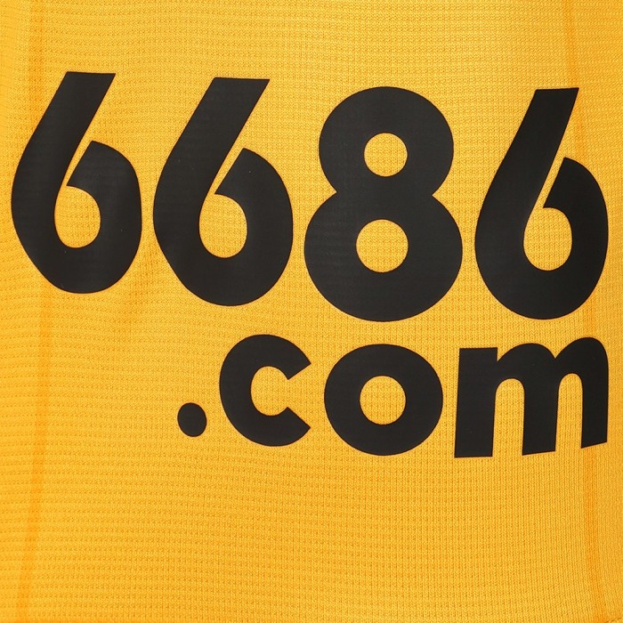 2023-24 Wolves Home Shirt - L/S - Adult