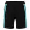 Progression Panel Short - Black/Green