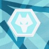 2023-24 Wolves 3rd Shirt - Adult