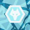 2023-24 Wolves 3rd Shirt - Junior