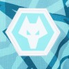 2023-24 Wolves 3rd Shirt - L/S - Junior