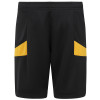 2024-25 Wolves Match Short - Junior