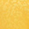 2024-25 Pre Match Anthem Jacket - Gold - Junior