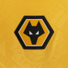 2025-26 Wolves Home Shirt - Adult