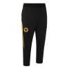 2025-26 Coaches Training 3/4 Pant - Black