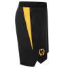 2025-26 Coaches Training Short - Black