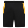 2025-26 Coaches Training Short - Black