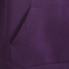 2025-26 Coaches Travel Hoodie - Purple