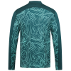 2025-26 Away Pre Match 1/4 Zip - Dark Green