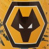 Graphic Crest Mug