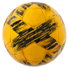 Raid Football - Gold -  Size 5