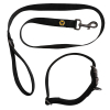 Wolves Collar & Lead Set - Large