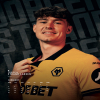 Wolves Calendar 2026