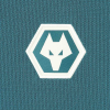 2026-27 Wolves Players Travel Polo - Junior