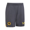 2021-22 Training Shorts - Grey - Junior