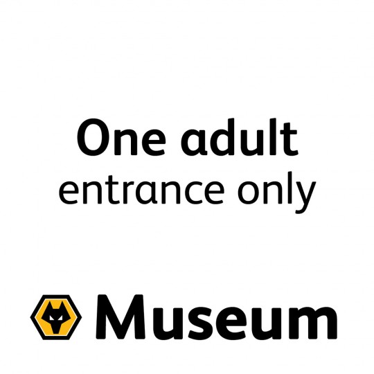 Adult Museum Ticket