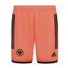 2020-21 Wolves Away Goalkeeper Shorts - Adult