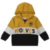 Baby Panel Hoodie