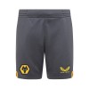 2021-22 Training Shorts - Grey - Junior