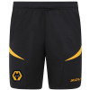 2024-25 Wolves Match Short - Adult