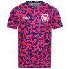 2024-25 Pre Match T-Shirt - Blue/Pink - Junior