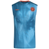 2024-25 Players Training Vest - Blue