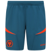 2024-25 Players Training Short - Blue