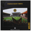 Stadium Jigsaw 1000pc