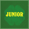 Luck Of The Irish Lucky Dip - Junior