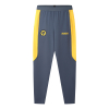 2026-27 Wolves Coaches Training Pant - Charcoal