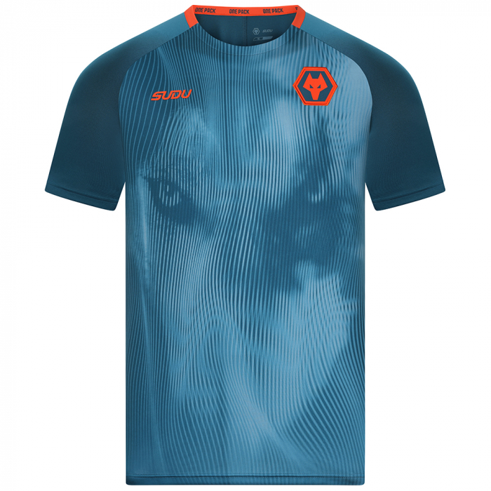 2024-25 Players Training T-Shirt - Blue