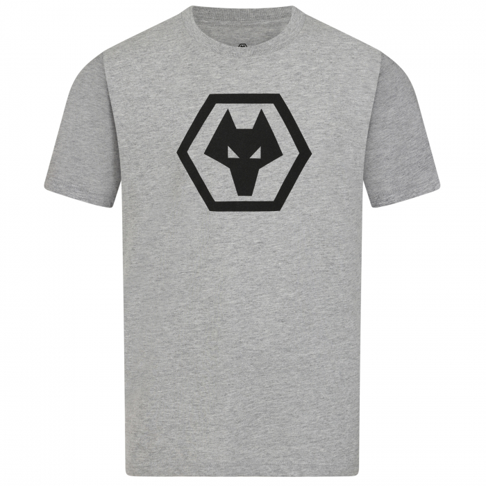 Logo T-Shirt - Grey - Junior