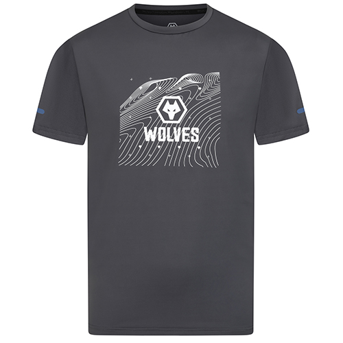 Progression Graphic T-Shirt- Grey