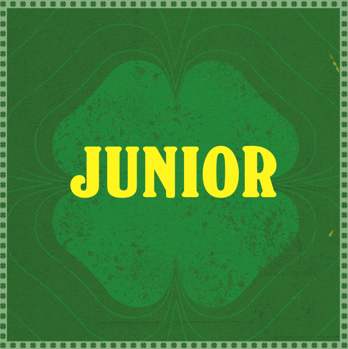 Luck Of The Irish Lucky Dip - Junior