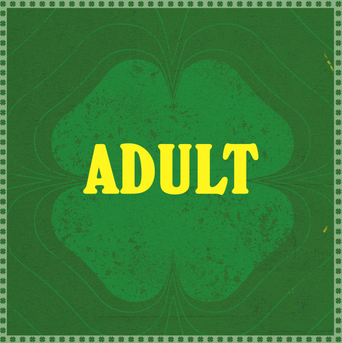 Luck Of The Irish Lucky Dip - Adult